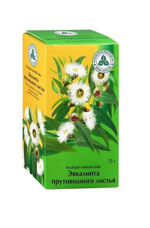 Настойка эвкалипта