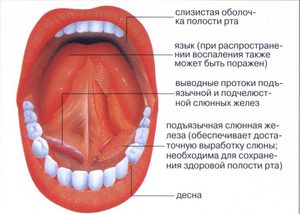 Болезни ротовой оболочки