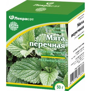 Мята 