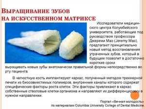 Как вырастить новые зубы: способы выращивания новых зубов
