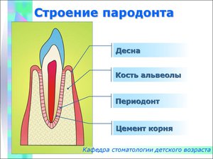 Как лечить пародонт