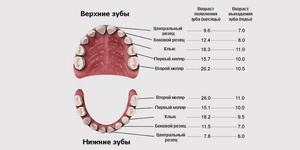 Схема выпадения молочных зубов