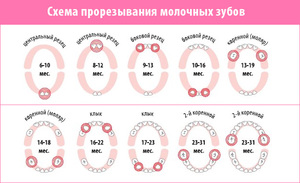 Первые зубки у малышей