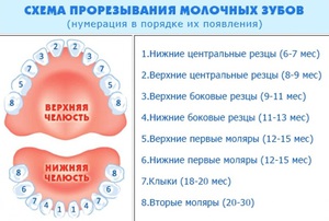 Как прорезаются зубы симптомы