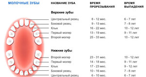 Коглда происходит смена молочных зубов