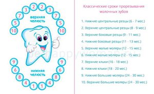 Разнообразные схемы для прорезывания зубов