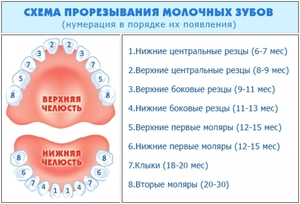 Советы и рекомендации  в случае когда у младенца режутся зубы