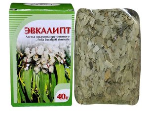 Эвкалипт 