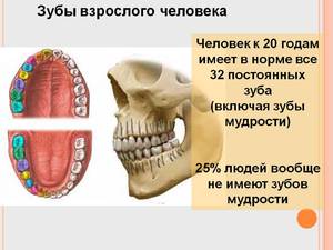 Как прорезается зуб мудрости