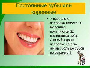 Какие зубы когда растут