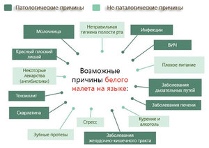 Что такое глоссит зяыка